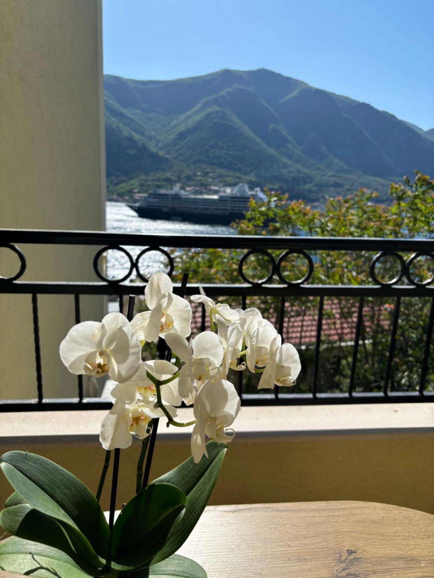 Modern Seaside With Balcony Tale Kotor