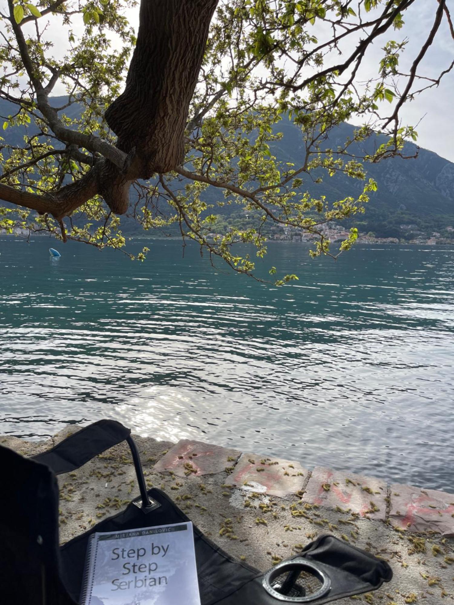 Appartamento Tale Sea View
